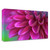 "Pink Chrysanthemum" Wrapped Canvas Print Wall Art