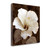 Verdant Blossom 2 Wrapped Canvas Print Living Room Wall Art