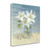 Lilies And Shells Wag 2 Wrapped Canvas Print Living Room Wall Art