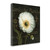 Botanical Garden I Wrapped Canvas Print Living Room Wall Art