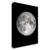 The Moon Wrapped Canvas Print Wall Art