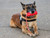 USA-K9 Firecracker Durable Rubber Floating Training Dummy 