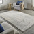 5' X 8' Gray and Ivory Abstract Area Rug