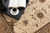 15' Beige And Ivory Oriental Runner Rug