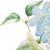 Set of Six 5" Green Artificial