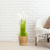 Wheat Plume Grass Artificial Plant