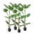 Artificial Indoor Turtle Back Tree Fake Fern Plant Decorative