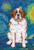 Samoyed - Best of Breed Portrait   Outdoor Flag