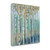 Birches At Dawn 1 Wrapped Canvas Print Living Room Wall Art