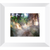 Into the Mystic - Framed Prints