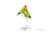 Swarovski (5379552) Paradise Love Birds Colorful Crystal Figurine