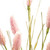 Set of Six 21" Pink Artificial
