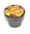 Garden Miniature Succulent