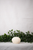Shell Candle Collection