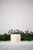 Large Bubble Candle Collection