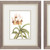 Set Of Two Floral Beauty II Silver Framed Wall Art