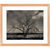 Baum im Winter - Framed Prints