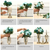 Clear Glass Flower Vase with Lid and Transparent Filler Vase