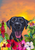 Black Labrador - Hippie Hound Studios Tropical Summer  House and Garden Flags