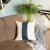 Vegan Faux Leather Throw Pillow Set of 2