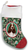 English Cocker Spaniel Liver and White  - Best of Breed Christmas Stocking