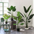 Artificial Indoor Turtle Back Fake Decoration Tree Flower Pot Plant
