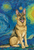 Yorkie - Best of Breed Dean Russo House and Garden Flag