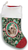Scottish Terrier Cream- Best of Breed Christmas Stocking