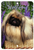 Pekingese - Best of Breed  Indoor/Outdoor Aluminum Sign