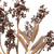 Set of Six 25" Burgundy Brown And Yellow Artificial Plant