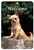 Chihuahua  - Best of Breed  Indoor/Outdoor Aluminum Sign