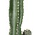 Artificial Indoor Cactus Tree Fake Plant Simulation Decorative  Heads