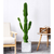 Artificial Indoor Cactus Tree Fake Plant Simulation Decorative  Heads