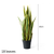Artificial Indoor Edge Tiger Piran Fake Decoration Tree Flower Pot Plant