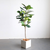 Artificial Indoor Qin Yerong Tree Fake Plant Simulation Decorative