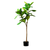 Artificial Indoor Qin Yerong Tree Fake Plant Simulation Decorative