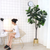 Artificial Indoor Qin Yerong Tree Fake Plant Simulation Decorative