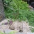 Fairy Garden Miniature Wire Accessory Set