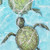 Swimming Turtles I White Framed Wall Art