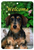 Dachshund Wirehair - Best of Breed  Indoor/Outdoor Aluminum Sign