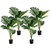 Artificial Indoor Turtle Back Fake Decoration Tree Flower Pot Plant