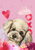 Maltese - Hippie Hound Studios Valentines  House and Garden Flags