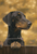 Doberman - Best of Breed Portrait   Outdoor Flag