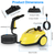 1800W Steam Cleaning Machine