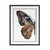 Balletic Butterfly II 24" x 32" Paper Collage Shadow Box Black Shadowbox Textual Art Wall Art