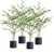 Artificial Indoor Cactus Tree Fake Plant Simulation Decorative  Heads