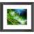 Light Breeze - Framed Prints