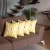 Ikat Set of 4 Square Boho Throw Pillow Covers