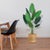 Artificial Bird of Paradise Plants Fake Tropical Palm Tree with  in Pot and Woven Seagrass Belly