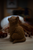 Meow Candle Collection